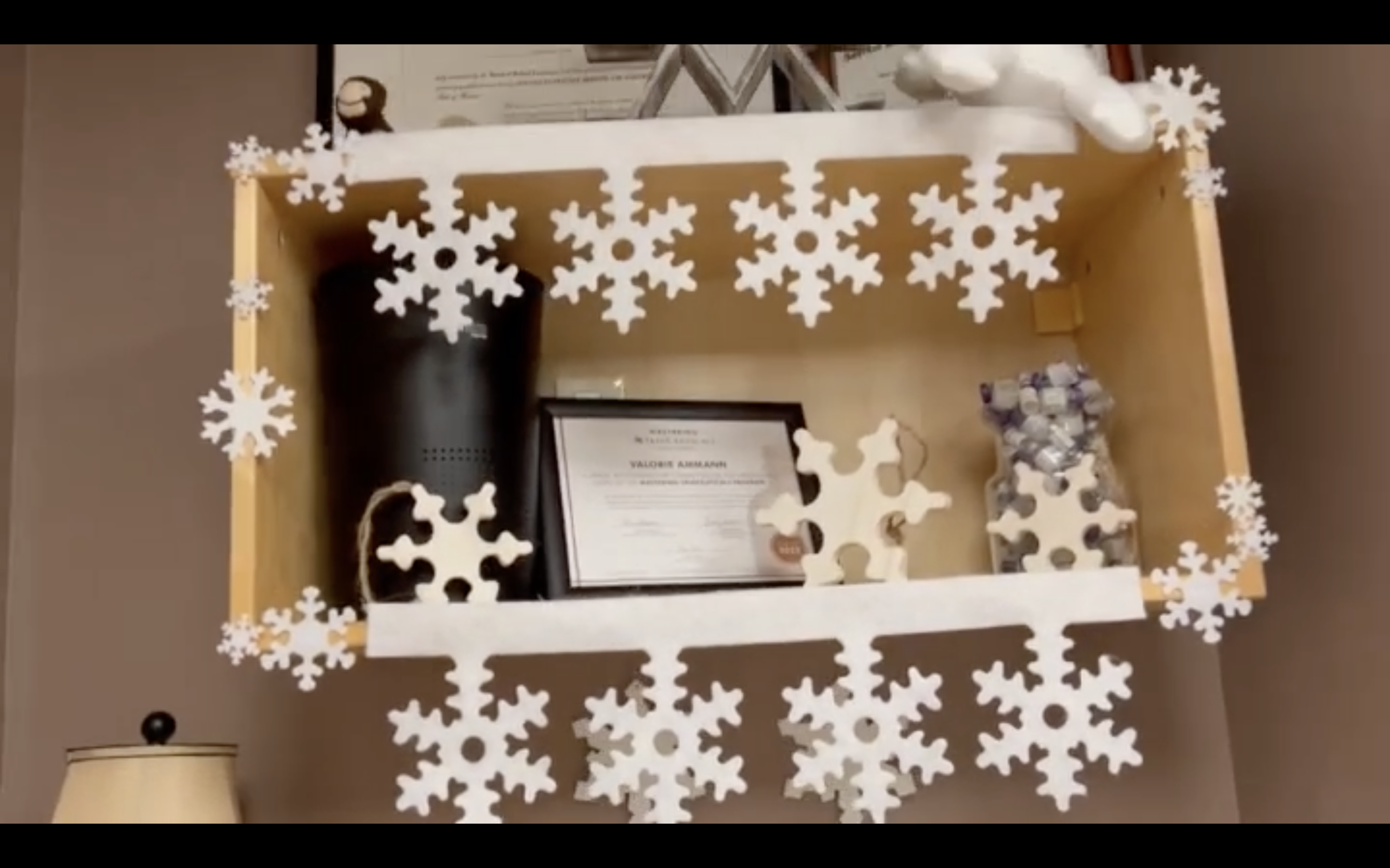 Holiday Decoration Contest - Antartica